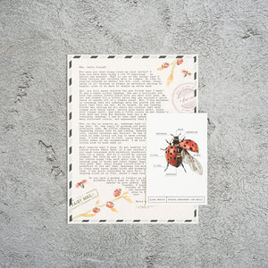 Previous Letters | Edition 1 | Monarch, Honeybee, + Lady Beetle